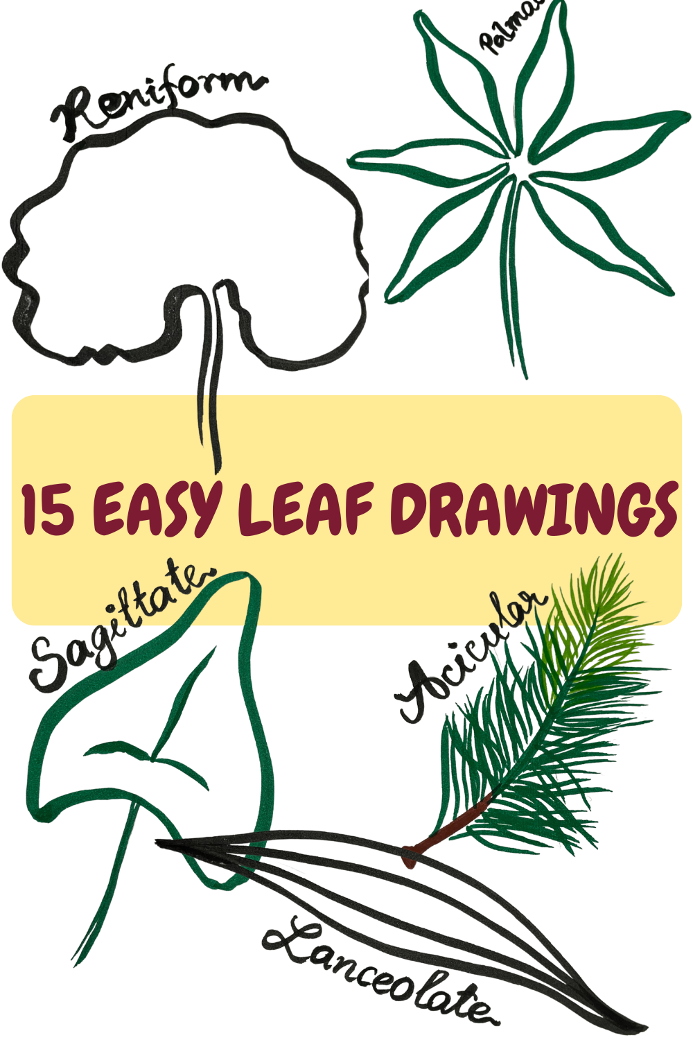 15 Easy Leaf Drawings ( With Shapes)