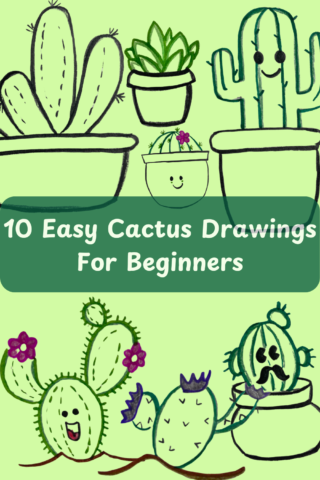 10 Easy Cactus Drawings for Beginners