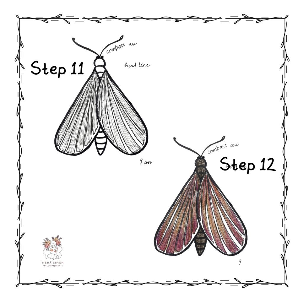 Step 11 & 12: Moth