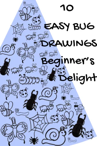 10 Easy Bug Drawings: Beginner’s Delight
