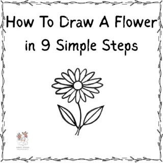 How To Draw A Flower in 9 Simple Steps